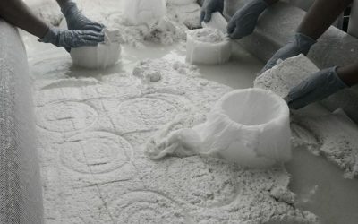 El Corazón del Queso: ¿Por Qué una Fábrica Rural es el  Motor de la Tradición y el Campo?