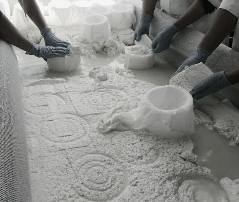 El Corazón del Queso: ¿Por Qué una Fábrica Rural es el  Motor de la Tradición y el Campo?