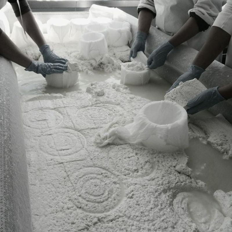 Procesos tradicionales en una fabrica de queso rural