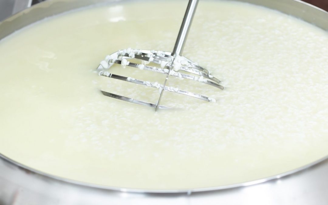 El Secreto Silencioso de la Calidad: Higiene, Limpieza  y la Promesa de Quesos Doña Casilda