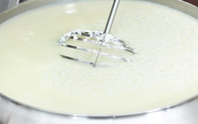 El Secreto Silencioso de la Calidad: Higiene, Limpieza  y la Promesa de Quesos Doña Casilda