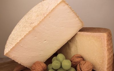 Más que Sabor: Los Increíbles Beneficios del Queso de Cabra para tu Salud