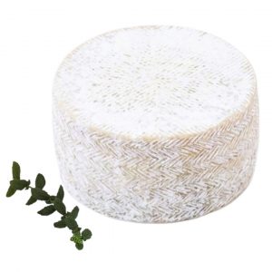 QUESO SEMICURADO ENTERO